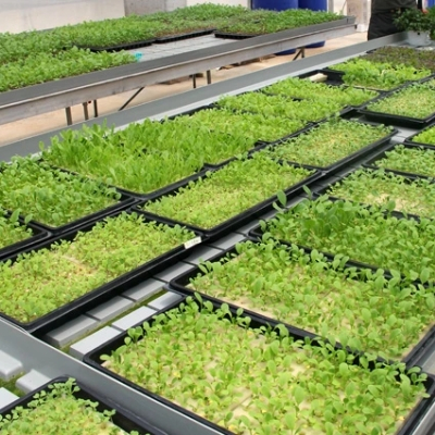 GTOFRP™ FRP Seed Starting Trays