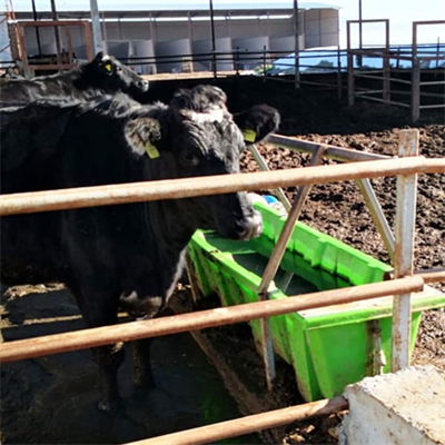 GTOFRP™ FRP drinking trough