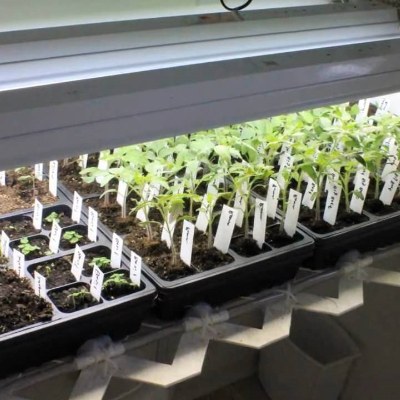 GTOFRP™ FRP Seed Starting Trays