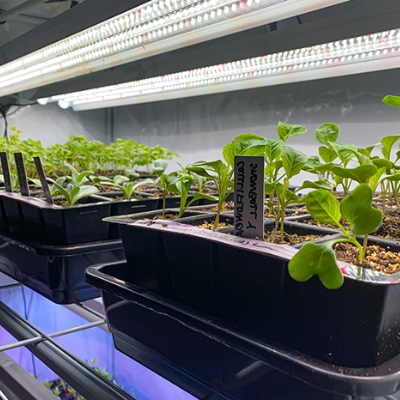 GTOFRP™ FRP Seed Starting Trays