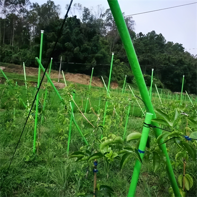 GTOFRP™ FRP Plant Piles