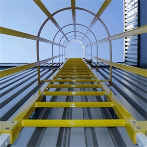 GTOFRP™ FRP Cage Ladder-4