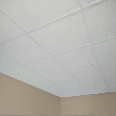 GTOFRP™ Clean FRP Ceiling