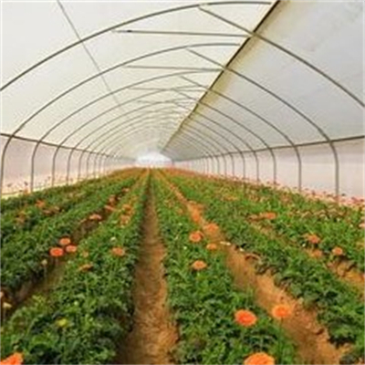 GTOFRP™ FRP greenhouse