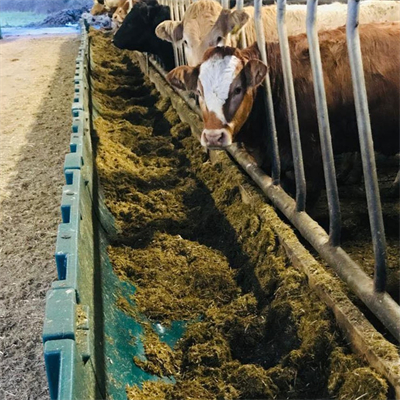 GTOFRP™ FRP Feed Trough