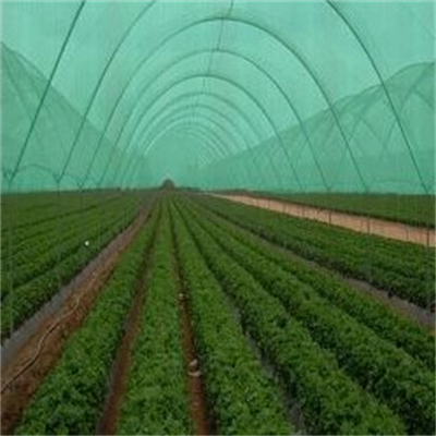 GTOFRP™ FRP greenhouse