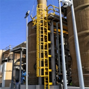 GTOFRP™ FRP Cage Ladder-3