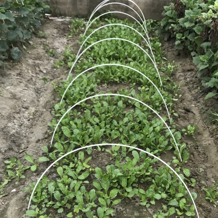 FRP planting pole