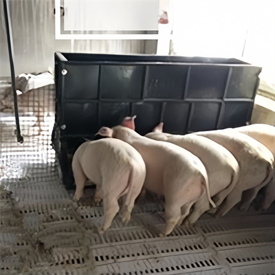 GTOFRP™ FRP Pig feed trough