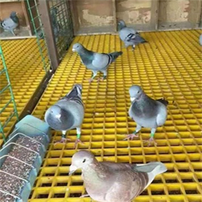 GTOFRP™ FRP grid floor