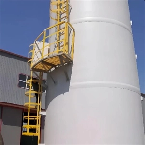 GTOFRP™ FRP Cage Ladder-2