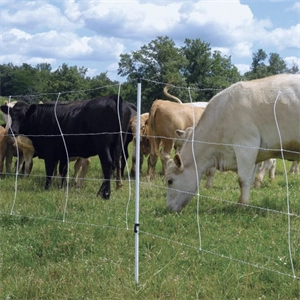 FRP Electronic Fence Pole