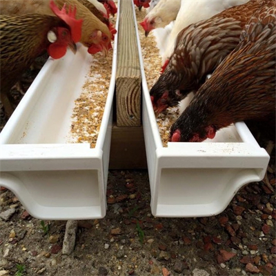 GTOFRP™ FRP Chicken feed trough