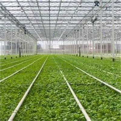 GTOFRP™ FRP greenhouse