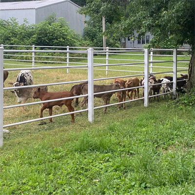 GTOFRP™ FRP pasture fence