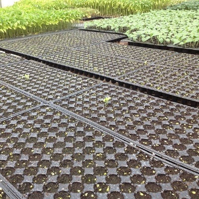 GTOFRP™ Fiberglass planting trays