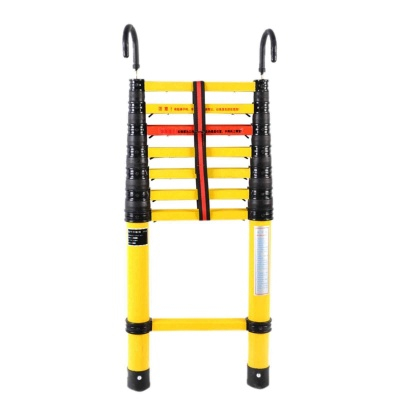 Portable Telescoping Ladder